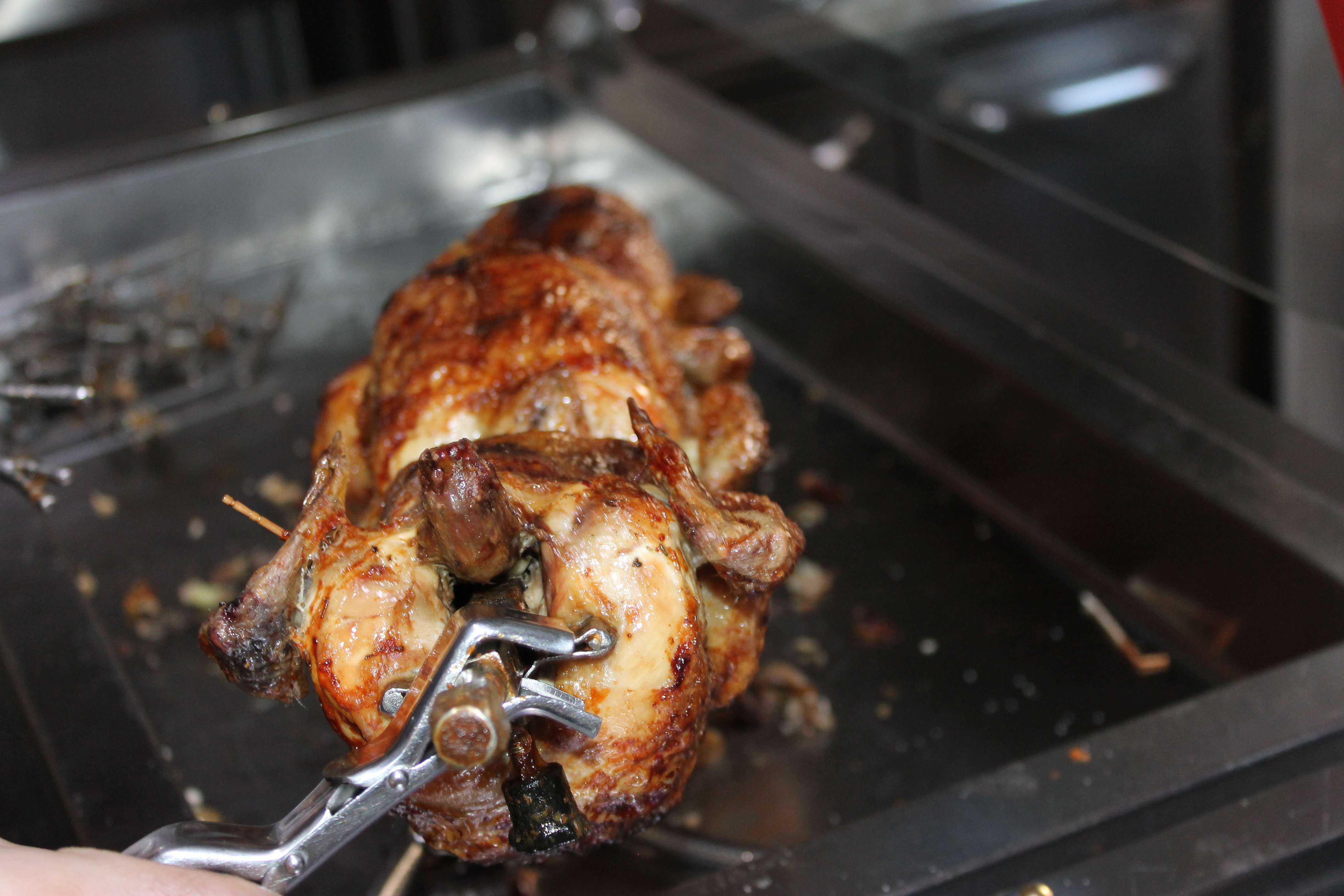 pollo